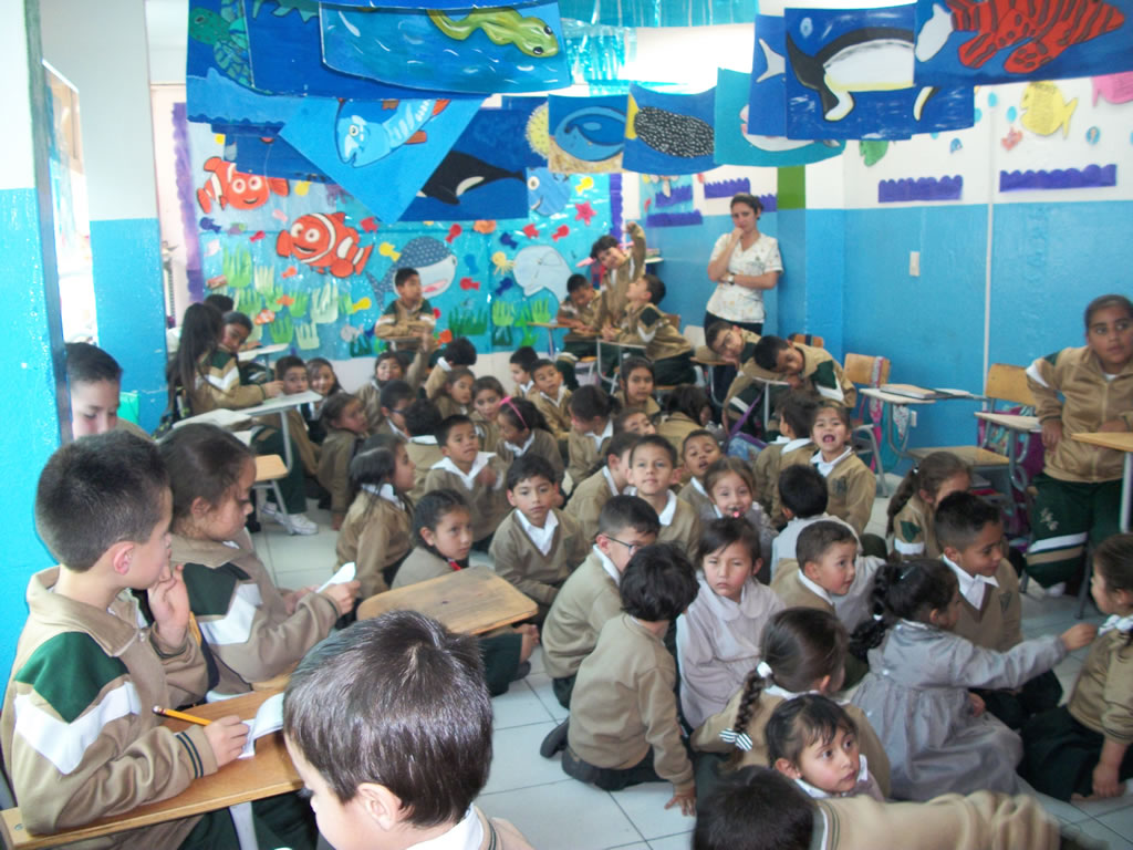 Exposición de proyectos